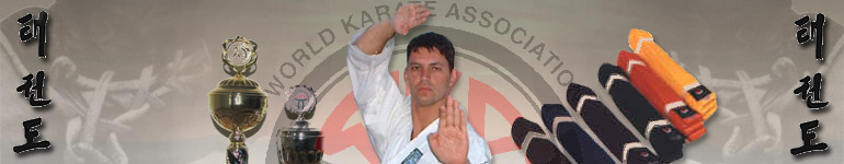 Kampfsportartikel f�r Taekwondo, Traditionelles Taekwon-Do, Karate, Kickboxen, Judo  - Logo!